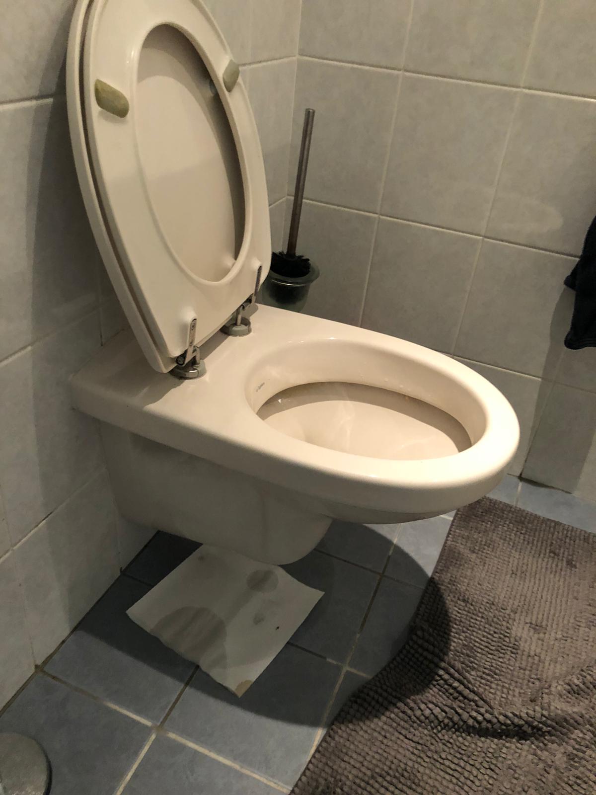 hangtoilet De Meern